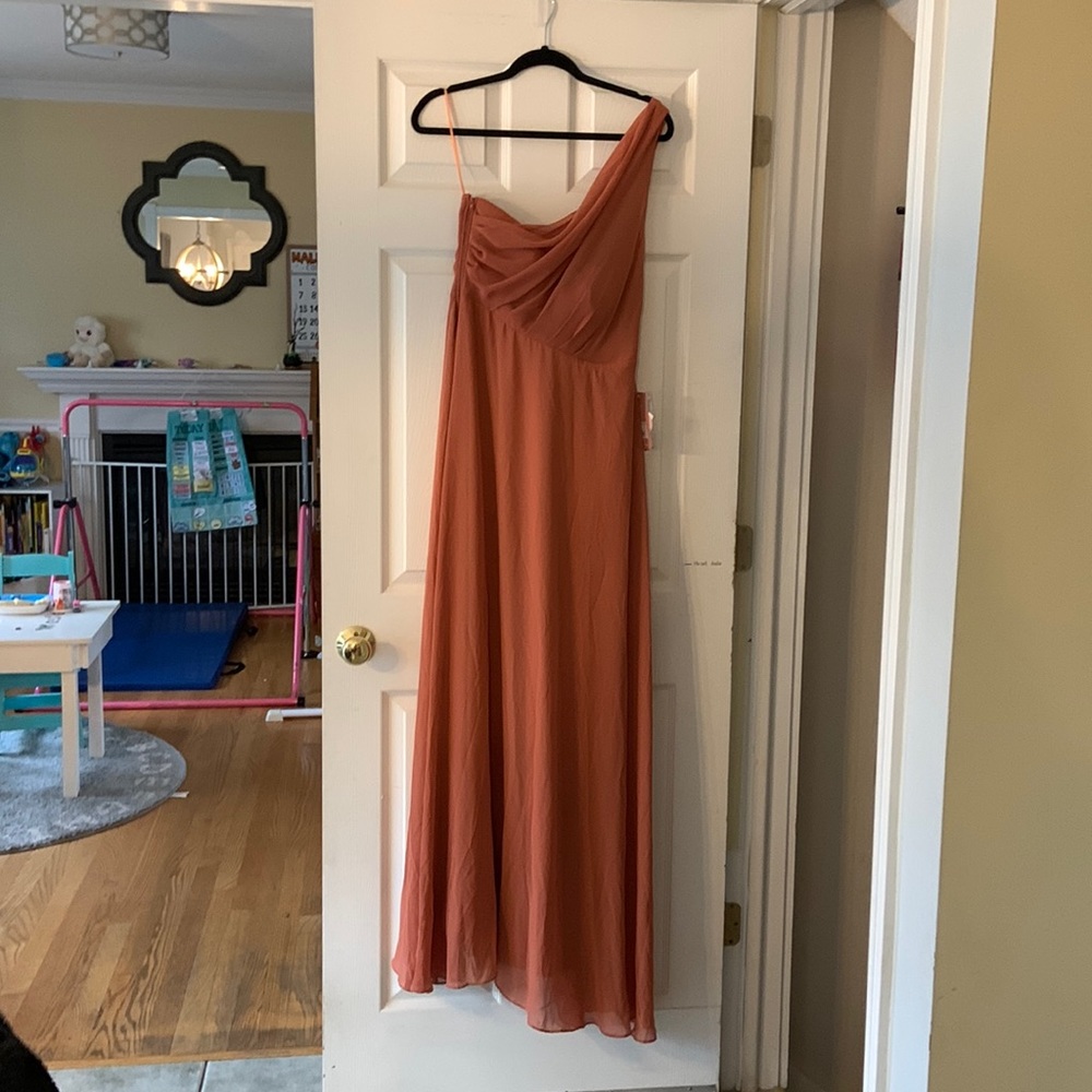 Birdy Grey Kira chiffon terracotta size large dress. BRAND NEW WITH TAGS